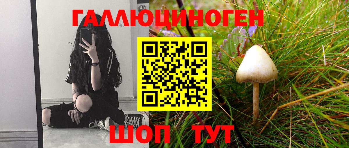 Кунгур  закладки  Вход с VPN  Псилоцибиновые грибы MAGIC MUSHROOMS 